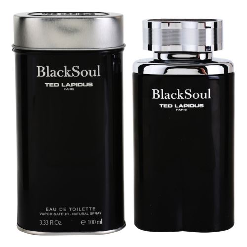 Ted Lapidus Black Soul toaletna voda za muškarce 100 ml