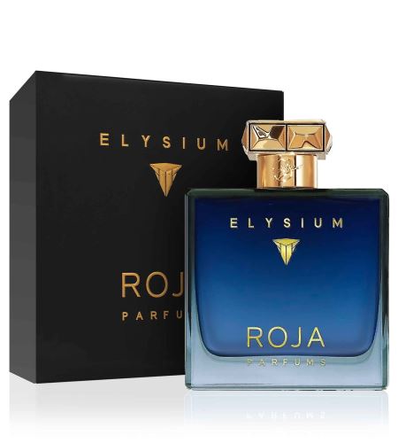 Roja Parfums Elysium Pour Homme parfemska voda za muškarce 100 ml