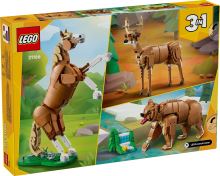 LEGO® Creator 3 v 1 31166 Prekrasni konj (4)