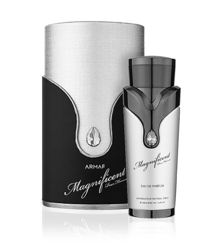 Armaf Magnificent Silver parfemska voda za muškarce 100 ml